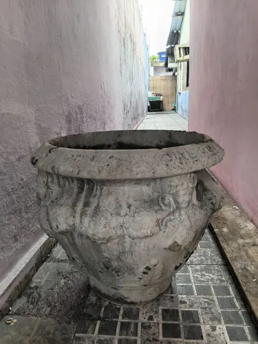 Vaso para planta 
