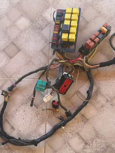Chicote para Troller