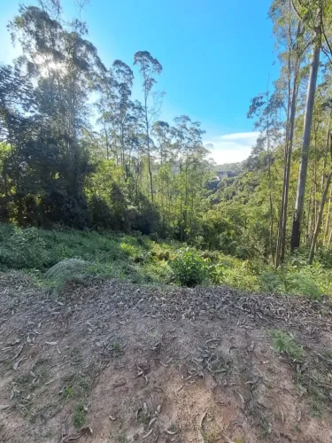 Terreno em Condomínio para Venda em Cajamar, Serra dos Lagos (Jordanésia)