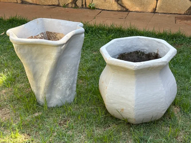 Vasos plantas