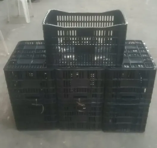 Caixa padrão Ceasa   