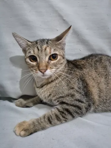 Doação motivo Morar fora de Belém