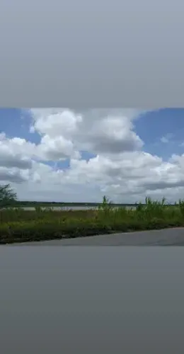 Linda Fazenda com 110 hectares nas Marias próximo a cajazeiras
