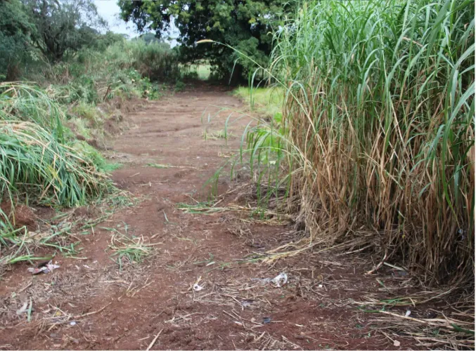 Terreno  de acesso para a Unicamp  para venda  em Barão Geraldo - Campinas - SP