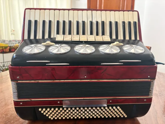 Acordeon Universal 120 baixos nacional