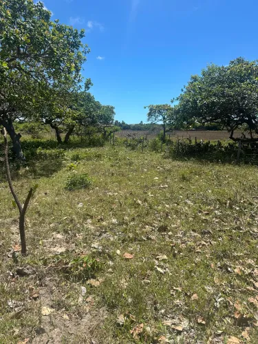 Terreno 10x50 em paracuru