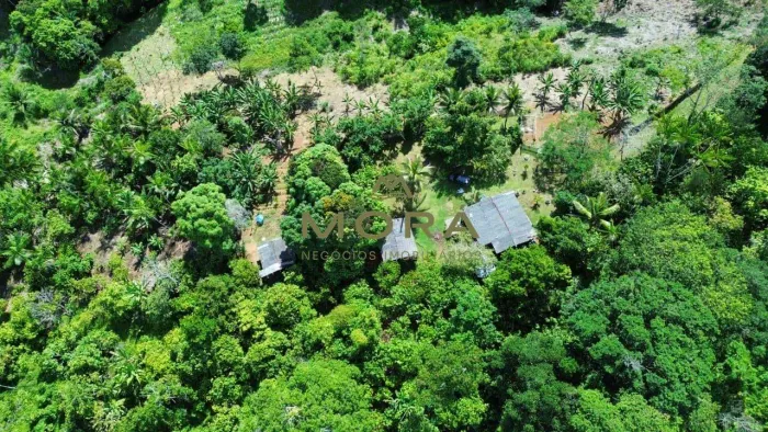 Fazenda com 22ha