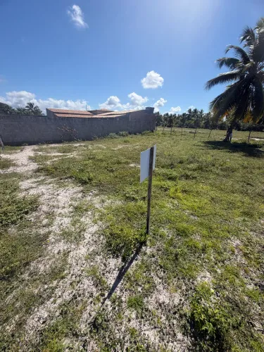 Terreno no povoado do Coqueiro ao lado de Mangue Seco - Jandaíra - Bahia