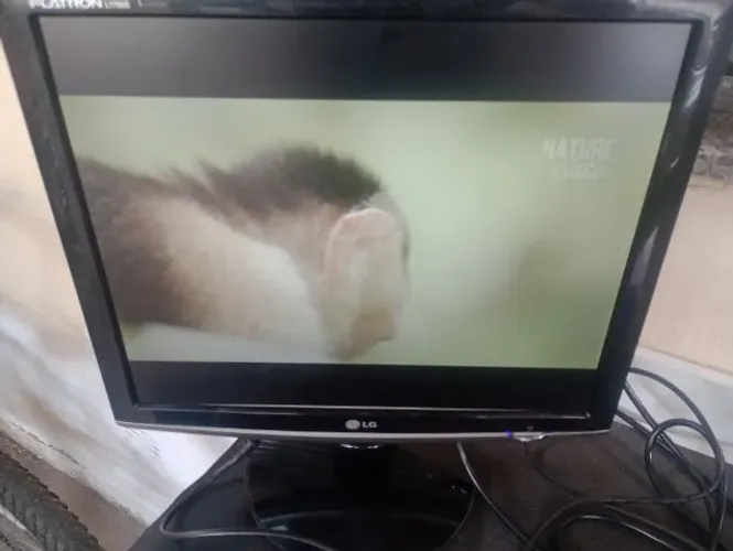 Monitor LG Flatron L1755S-PF