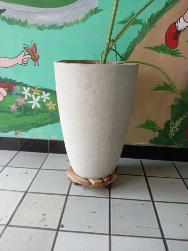 Três vasos de plantas, com plantas naturais.