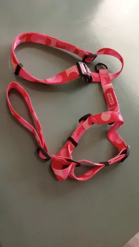 Coleira para cão