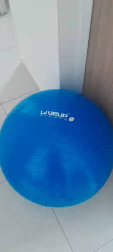 Bola suíça 