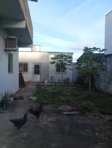 Aluga uma casa