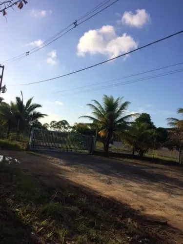 Ótimo Terreno 9.000m2+Galpão, 100% Plano, Guabiraba Prox. da BR 101, Aceito Carro