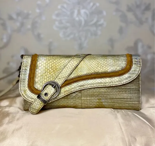 Dior Saddle bolsa clutch vintage python 