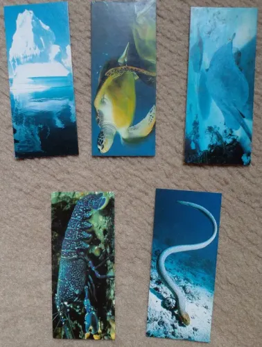 Cards da Coleção - Viagem ao Fundo do Mar Nestlé