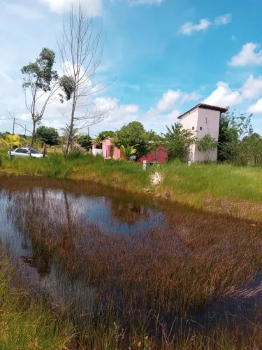Sítio na BA - 001 com Capineira Rural 