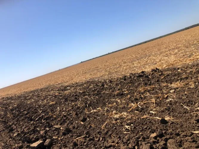 Fazenda a venda  a 60 km de Balsas plantando 1.200 hectares soja,  margem da rodovia !