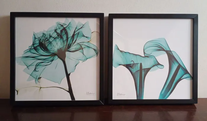 Quadros Decorativos Florais - Tok&Stok