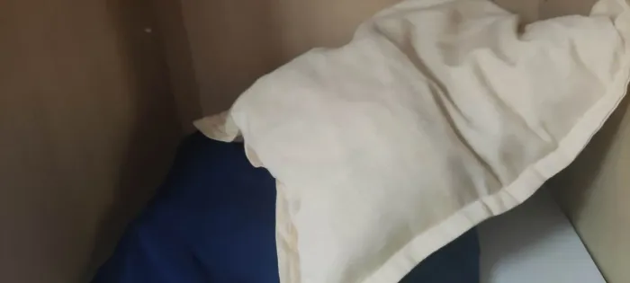 Uma capa sofá azul marinho e uma almofada 