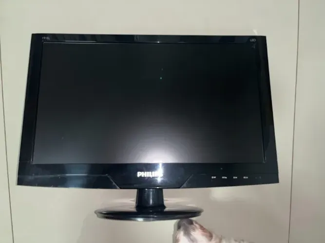 Monitor LED 19" Phillips