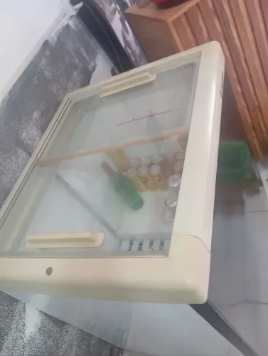 Vendo frizer bem conservado 800 reas