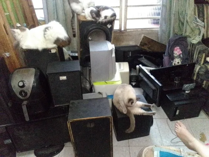 Lotão eletrônicos no estado