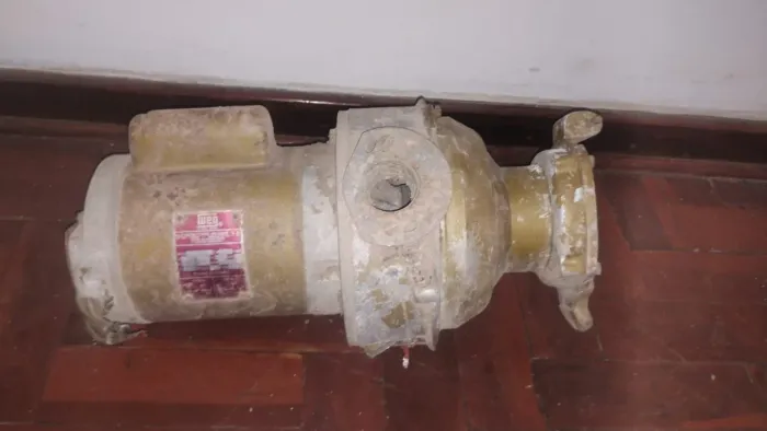 Triturador de Alimentos Weg 1/2 CV - Monofasico