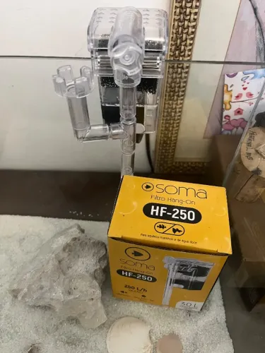 Aquário Curvo Oceantech (peixe)