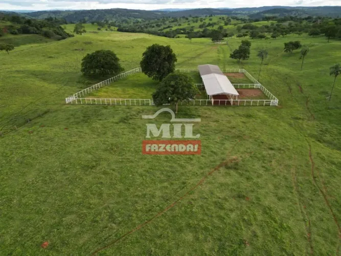 Fazenda 230 alqueires (1.113 hectares) Itapaci - Go