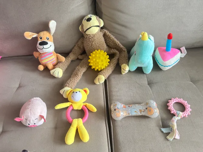 Brinquedos para pet - ótimo estado - desconto no kit