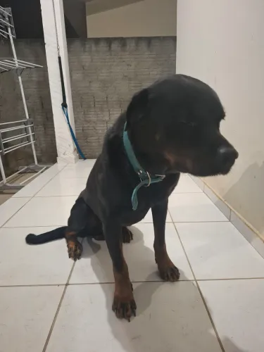Para doação
