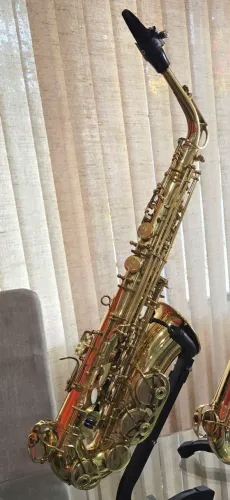 Sax alto Michael modelo WASM35 Estado de novo