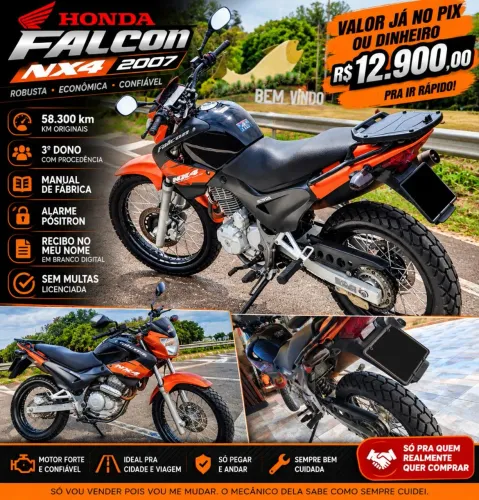 FALCON 400 - LARANJA BEM CUIDADA