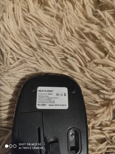 Mouse