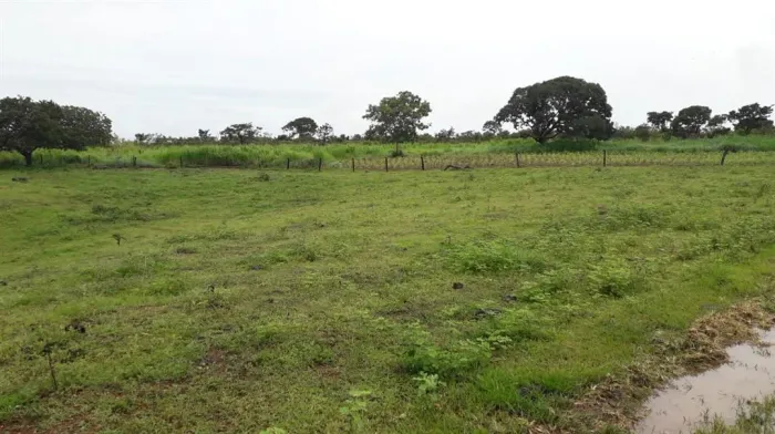 Fazenda - Chácara 4 quartos
