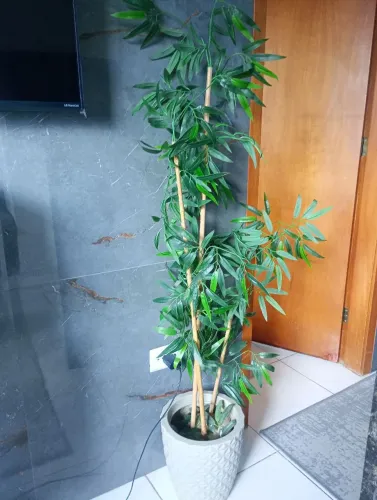 Vendo Planta artificial pra decorar sua casa . Motivo da venda estou reformando a casa . 