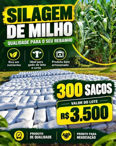 Silagem de Milho Puro - 300 Sacos - Barbacena/MG