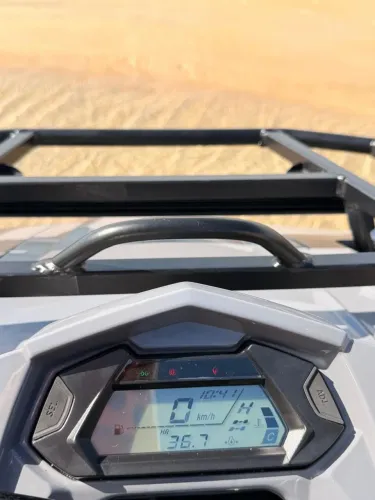 Quadriciclo Goes Terrox 400L
