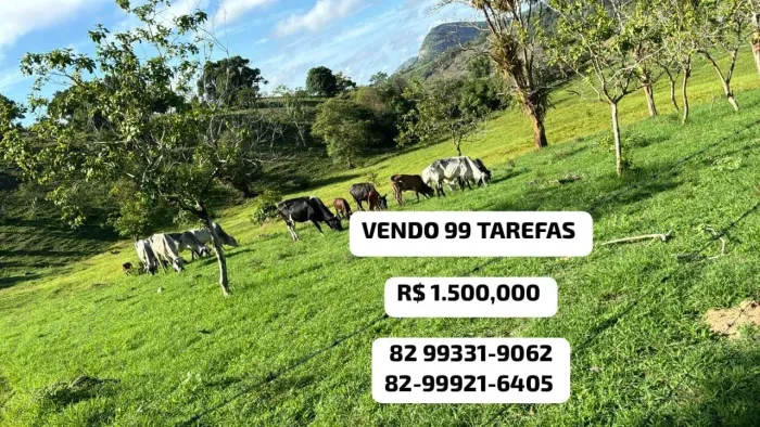 VENDO 99 TAREFAS R$ 1.500,000 Estrada Que Acessa Mar Vermelho Em Tanque D'arca