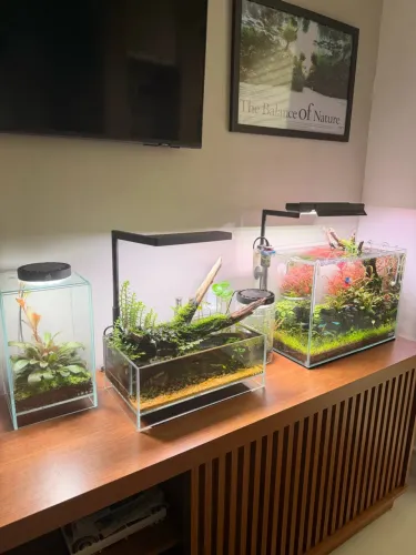 Aquários e Terrários ADA / DOOA Completos