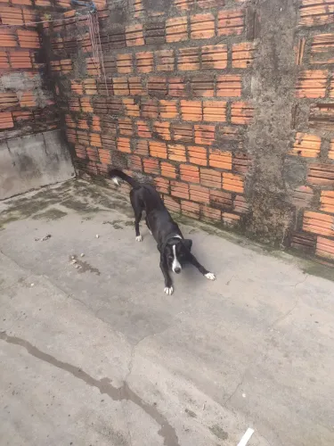 ESTOU DOANDO PRQUE ESTOU ME MUDANDO PARA UM APRTAMENTO