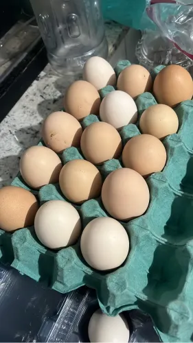 Ovos caipira para consumo