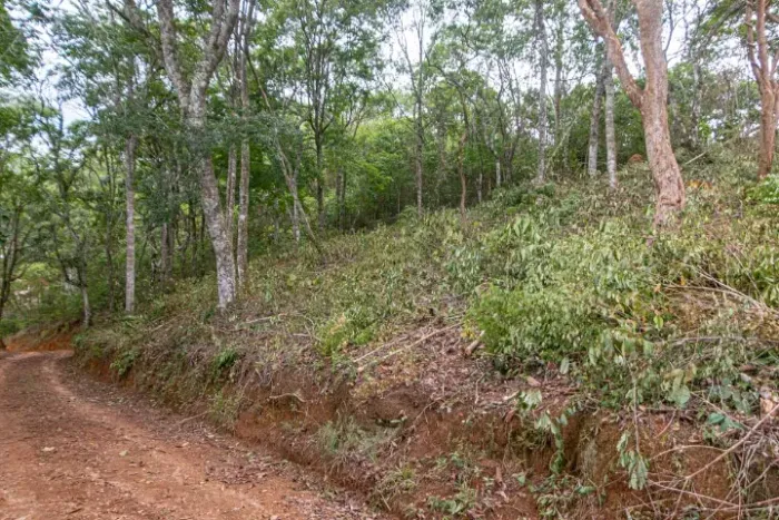 Terreno 625m2 no Costinha