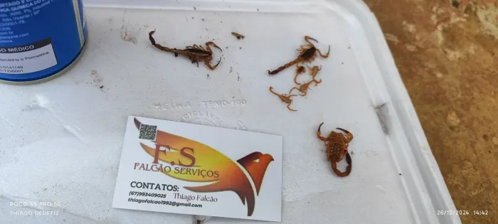 ? SUA CASA MERECE ESSES CUIDADOS! ?
