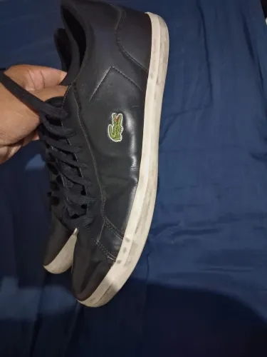 Tênis casual Lacoste original