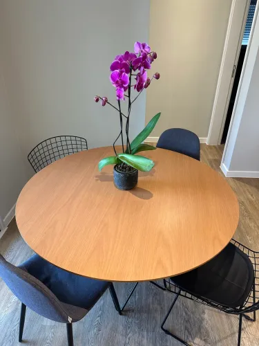 Conjunto mesa e cadeiras de jantar - TokStok