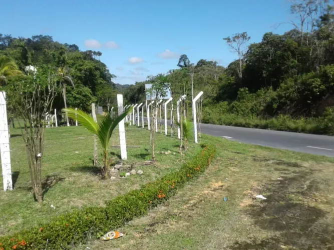 Terreno na pista AM010, Km 51 com 1.000.000m2 - 860m de fachada