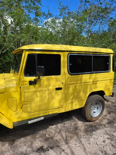 Toyota Band.Jipe Cap.de Aço Chas. Longo Diesel 1985