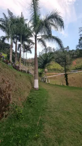 VENDO SÍTIO COM CASA 